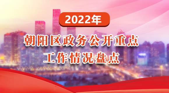 2022年朝阳区政务公开重点工作情况盘点